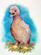 el camino a dios aguilucho