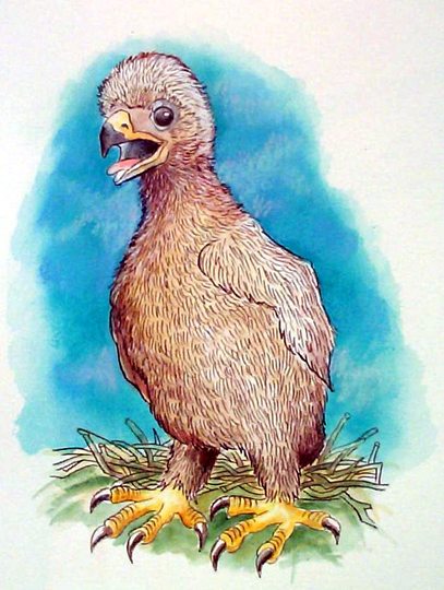 el camino a dios aguilucho1