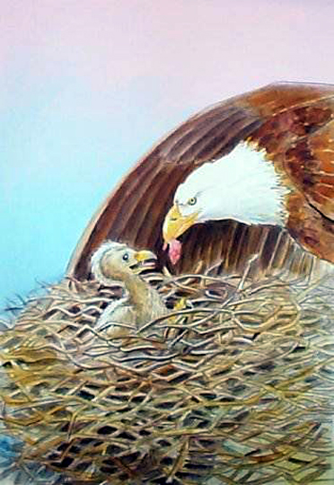 el camino a dios aguilucho12