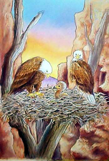 el camino a dios aguilucho3