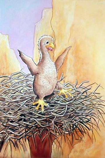 el camino a dios aguilucho4